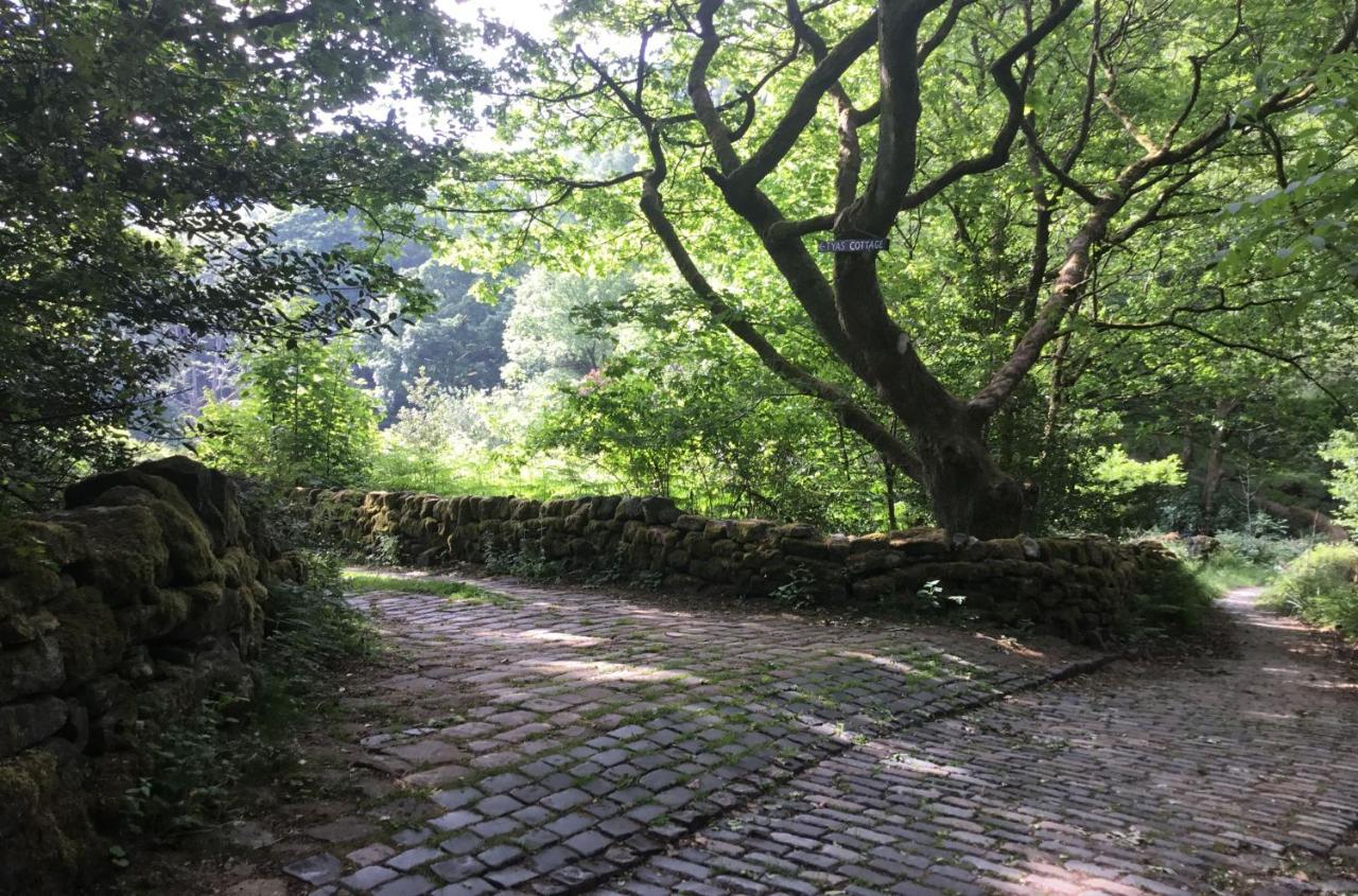 Tyas Cottage Slaithwaite Extérieur photo